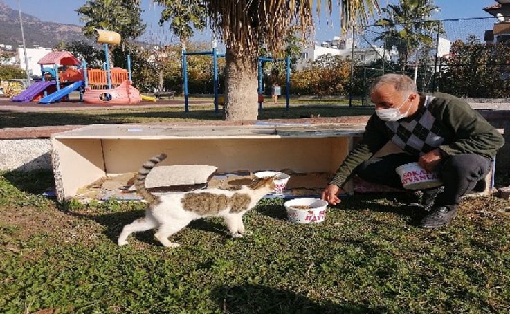 Kemer Belediyesi sokak hayvanlarının yanında