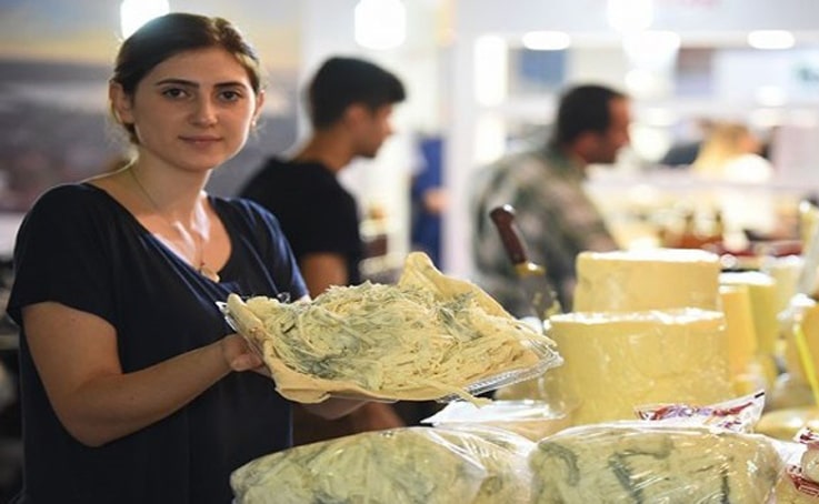 Peynir için online atölye