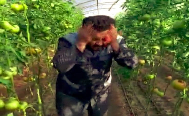 Kumlucalı çiftçiden ‘kış domatesini yemeyin’ diyen doktora klipli cevap