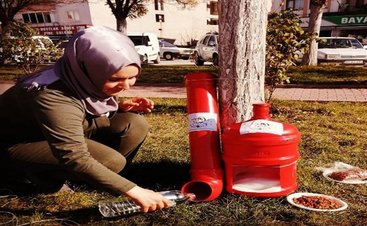 Eski damacanalar kedi yuvası oldu