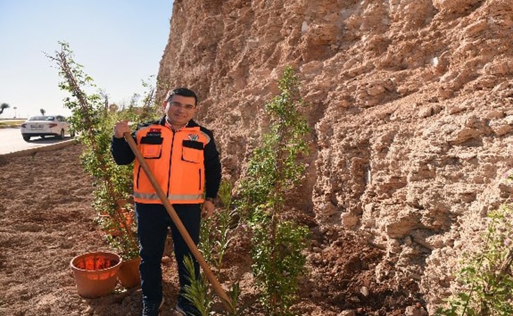 Masa Dağı’na 12 bin adet çiçek