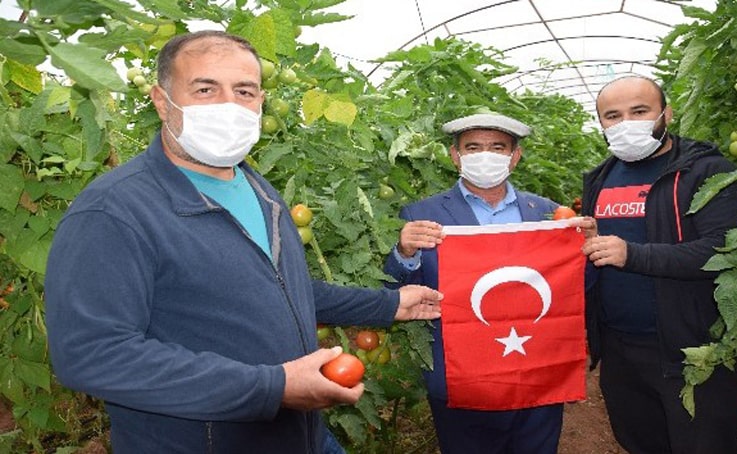 Başpehlivanlar domatese sahip çıktı