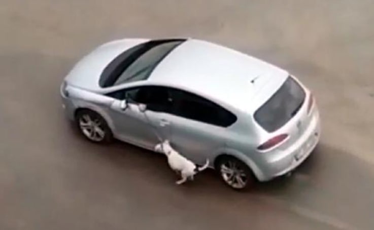 Köpeğini tasmasından sürükleyen araç sürücüsü cep telefonuyla görüntülendi