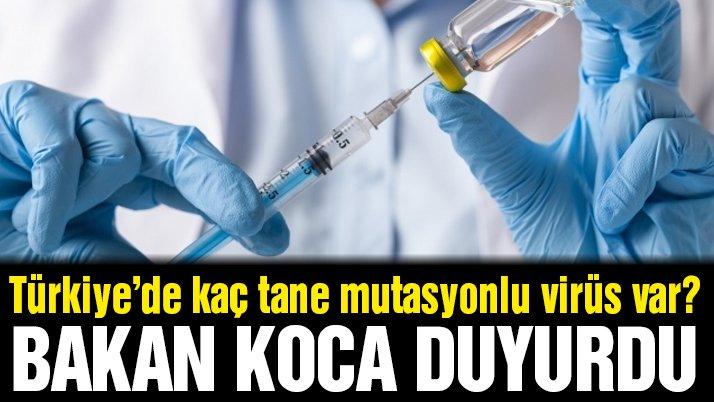 Türkiye’de kaç tane mutasyonlu virüs var? Bakan Koca açıkladı