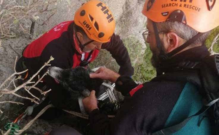 130 metrede 1 hafta mahsur kalan keçi için nefes kesen kurtarma operasyonu