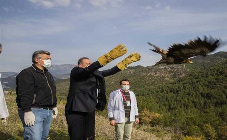 Alanya’da tedavisi tamamlanan 2 şahin ve kartal doğaya salındı