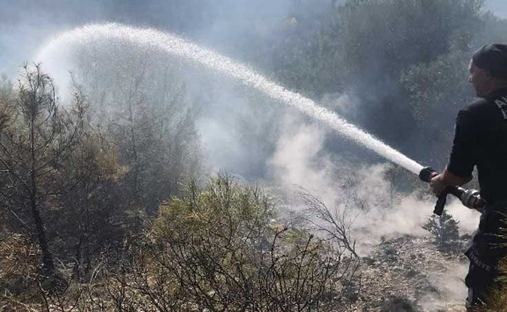 Manavgat’ta kırsal alan yangını