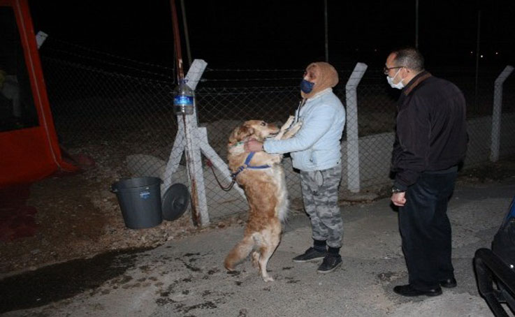 Kırmızı ışık ihlali kazası en çok Hera’yı korkuttu