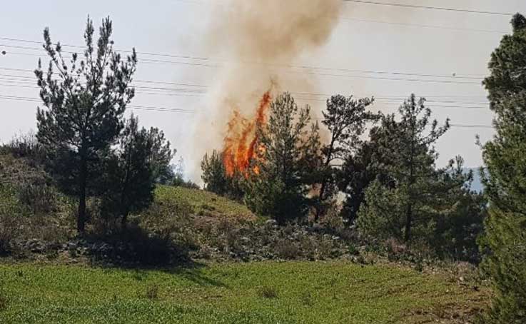 Manavgat’ta orman yangını