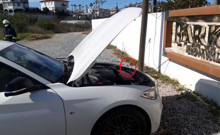 Otomobile giren yılanı çıkarmak için her yolu denediler