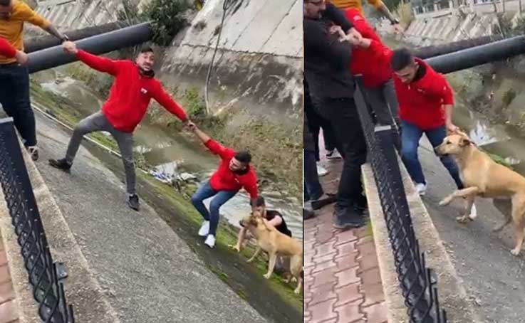 Su kanalına düşen köpek insan zinciriyle kurtarıldı