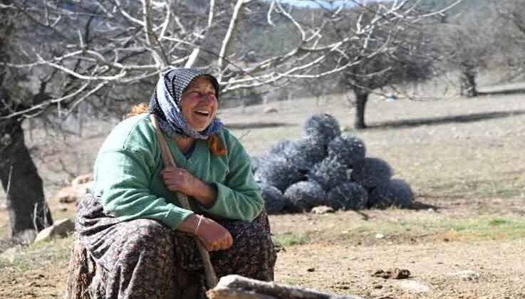 Fatma teyzenin 62 yıllık çobanlık hikayesi