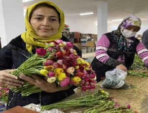 Cebinde getirdiği hediye tohumla Antalya’da üretime başladı, taleplere yetişemiyor