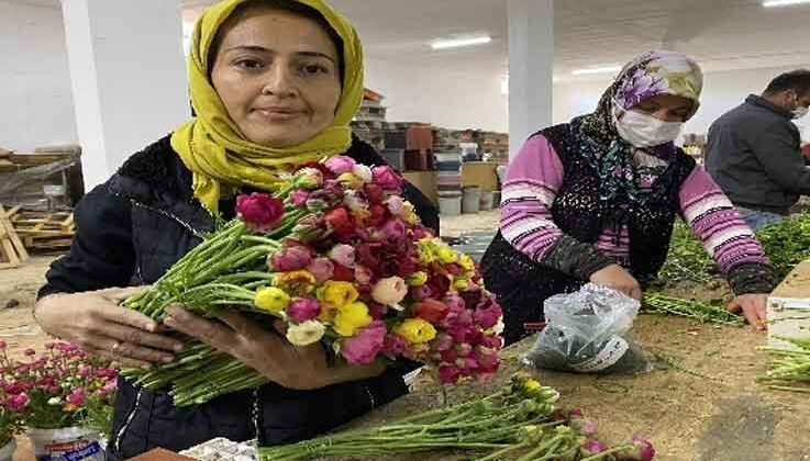 Cebinde getirdiği hediye tohumla Antalya’da üretime başladı, taleplere yetişemiyor