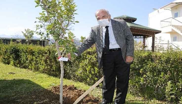 Antalya’da Yaşlılar Haftası’nda huzurevi sakinleri ağaç dikti
