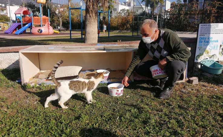 Kemer’de bir ayda 27 sokak hayvanı sahiplendirildi