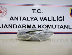 Otobüsle uyuşturucu ticareti jandarmaya takıldı