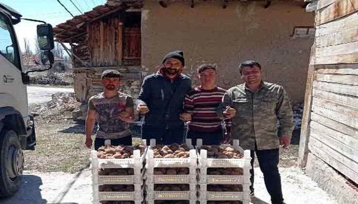 Biyolojik mücadele için Korkuteli’de patates yetiştirilecek