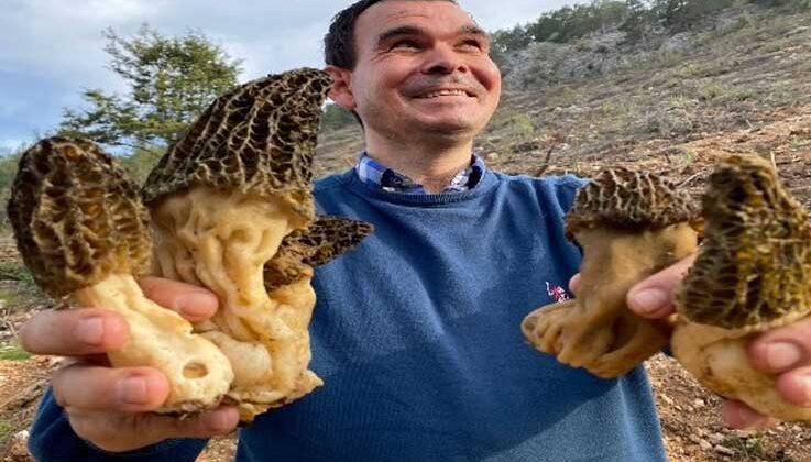 Toroslar’dan toplayıp tazesini 150 TL’den, kurusunu bin 500 TL’den satıyorlar