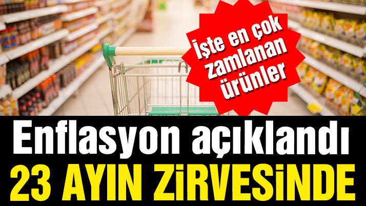 Enflasyon rakamları açıklandı