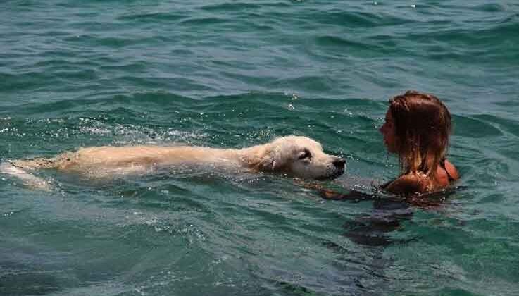 Rus turist, 9 bin kilometrelik yoldan getirdiği köpeğiyle Antalya’da deniz keyfi yaptı