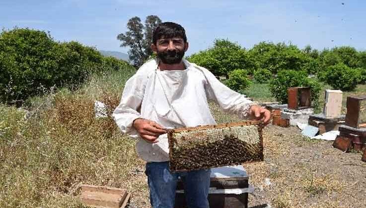 Antalya’da ilk bal hasadını yapan arıcılardan, aracı tepkisi