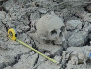 Sürmeye hazırlandığı tarlasında kafatası buldu