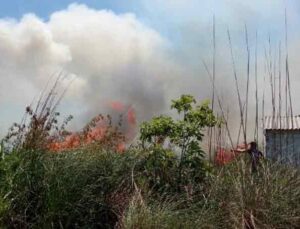 Antalya’da sazlık yangını ahır ve ev eklentilerini tehdit ediyor