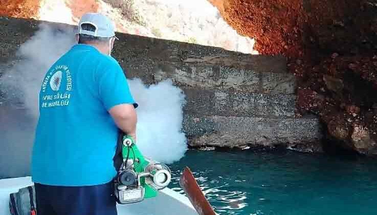 Alanya’da denizden sinekle mücadele