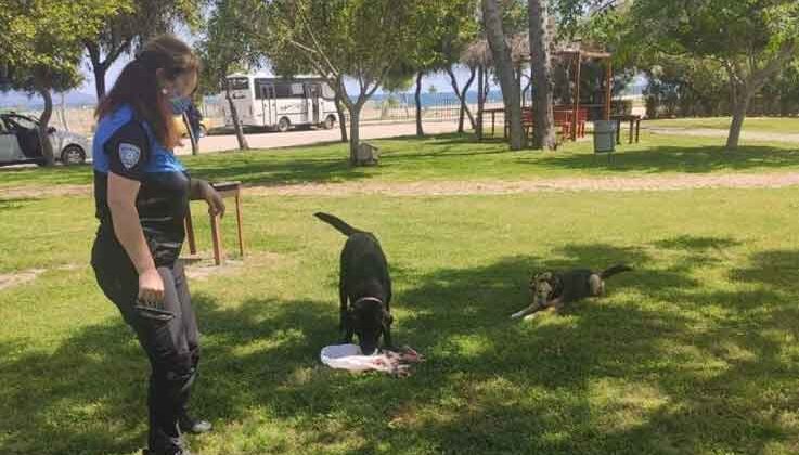 Kumluca’da polislerden sokak hayvanlarına su ve mama desteği