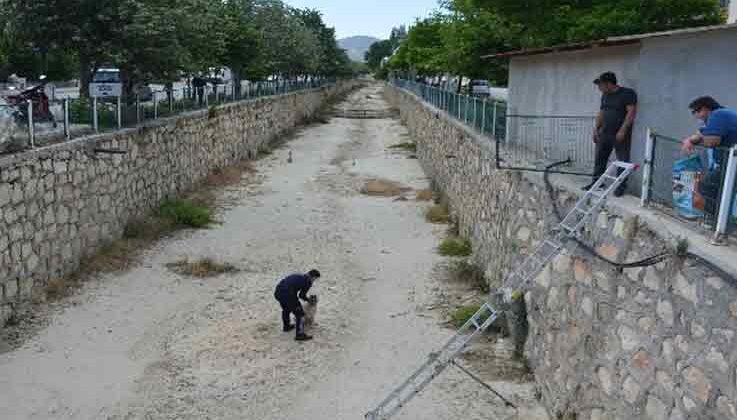 Boş sulama kanalına düşen köpek itfaiye tarafından kurtarıldı