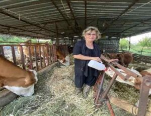 Tatile geldiği ilçede hayatının aşkını buldu, şehir yaşamını bırakıp besiciliğe başladı