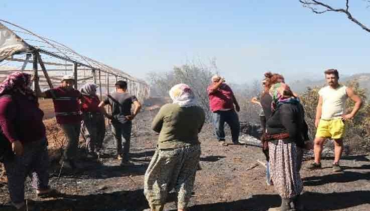 Antalya’daki arazi yangınında seraların naylon örtüleri ve zeytin ağaçları küle döndü