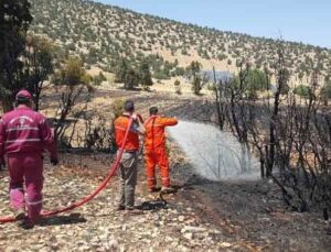 Antalya’da arazi yangınında 60 dekar ekili alan zarar gördü
