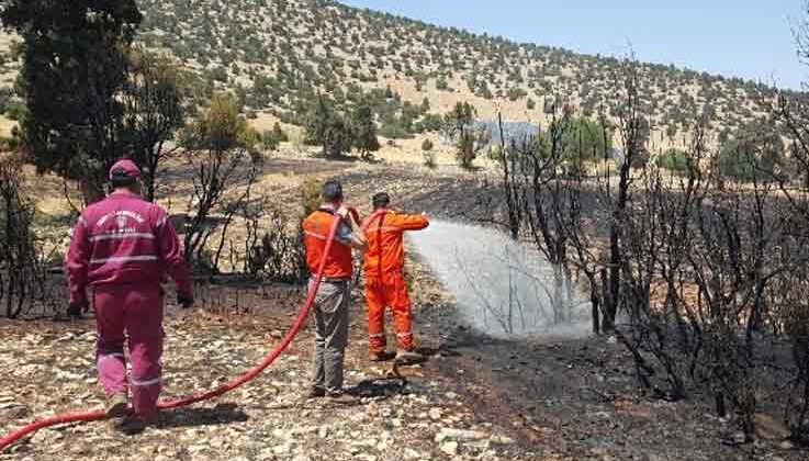 Antalya’da arazi yangınında 60 dekar ekili alan zarar gördü