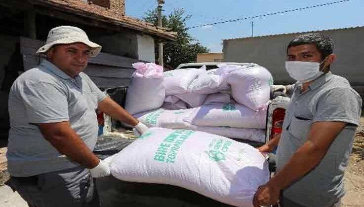 Tarlaları yanan çiftçilere tohumluk buğdayları dağıtıldı