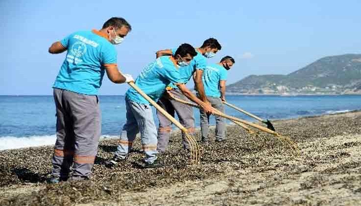 Alanya’da sahillerde yosunlar temizlendi