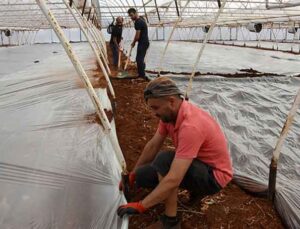Demre’deki seralarda doğal yöntemle toprak tedavisi: Solarizasyon