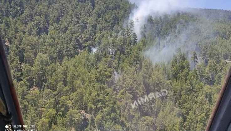 Manavgat’ta çıkan yangında 2 dönümlük kızılçam ormanı zarar gördü