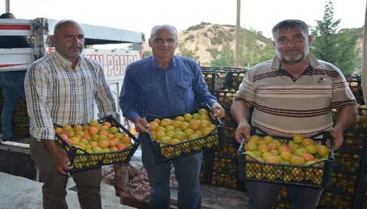 Korkuteli’de hasadına başlanan kayısının ilk ihracatı gerçekleştirildi