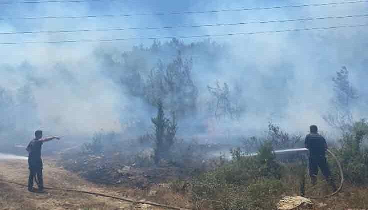 Manavgat’ta çıkan yangında 5 dönüm ormanlık alan zarar gördü