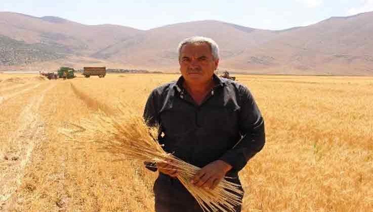 Ata tohumlarının hasadı yapıldı