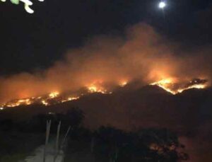 Gazipaşa’da 3 farklı noktada orman yangını