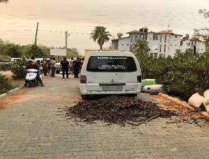 Alanya’da orman nöbetindeki vatandaşlar, keçiboynuzu hırsızlarını yakaladı