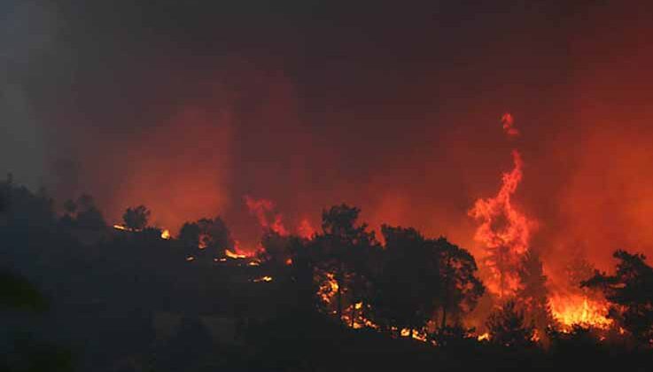 Manavgat’taki büyük yangın 7’nci gününde