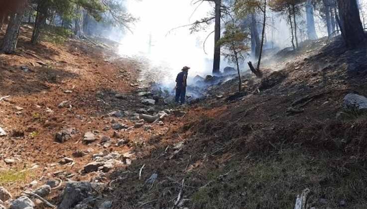 Kadın erkek eline küreği alan yangın bölgesine koştu