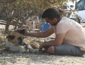 Yangında kaybolan köpeği 4 gün sonra geri geldi, gözlerine inanamadı