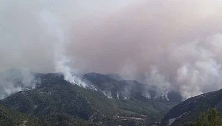 Akseki yangının şüphelisi, 20 hektar ormanın yandığı yangının da şüphelisi çıktı