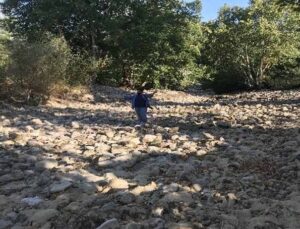 Antalya’da Üzümdere ırmağı kurudu