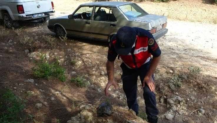 Manavgat’ta jandarma, kaplumbağayı yanmaktan kurtardı